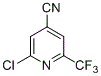 2-Chloro-6-(trifluoromethyl)isonicotinonitrile